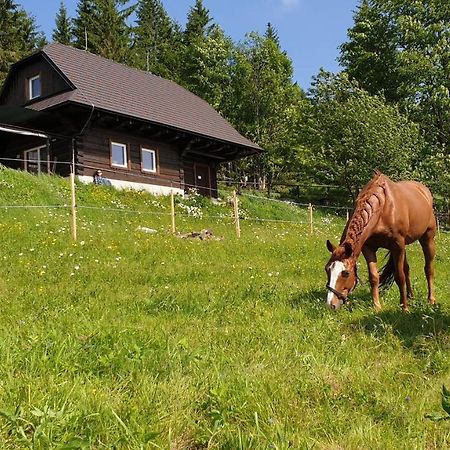 Panorama Ranc Villa Jezici Екстериор снимка