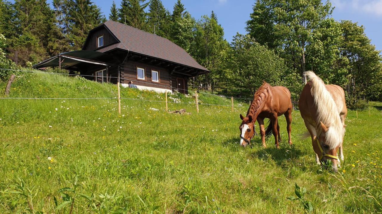 Panorama Ranc Villa Jezici Екстериор снимка
